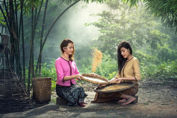 《林随舟舒晚音》小说免费阅读 《林随舟舒晚音》最新章节列表