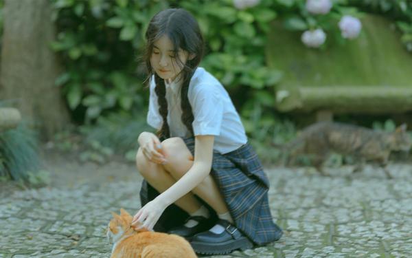 愿你来时花满楼虞婉歌墨庭晔小说全文章节阅读 愿你来时花满楼免费精彩章节