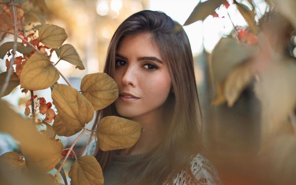 弃我择状元？我转身娶了白月光全文在线阅读 沈月浅柳若云裴文渊小说全本无弹窗