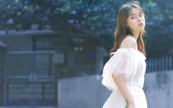 精彩章节《林晚许开乐乐》妻子陪白月光，我儿子命丧虎口全文免费阅读