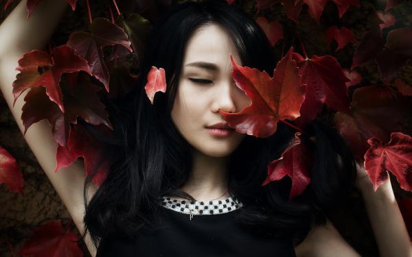 雨打芭蕉梦不成顾希珩冯书柠 雨打芭蕉梦不成在线阅读