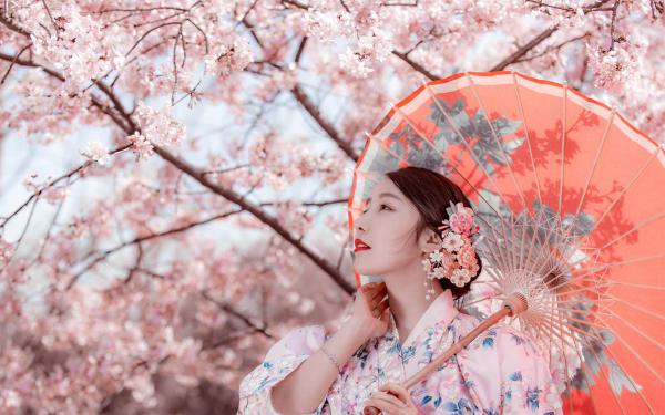 《林晚楚砚》视频发来时，她的报应已在路上大结局在线试读