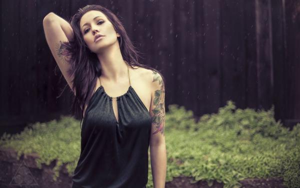 《盛北沐鹿知愿鹿凝歌》小说章节列表精彩试读 余生皆为悼亡诗小说全文