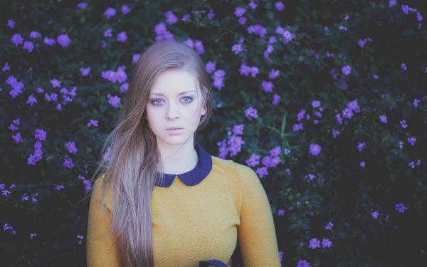 魏彦之沈珂小说阅读 1