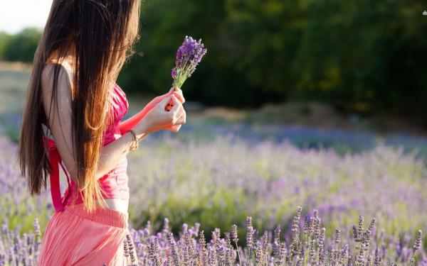 《林宝珠陆延州》老公装不熟，我直接跑路章节免费阅读