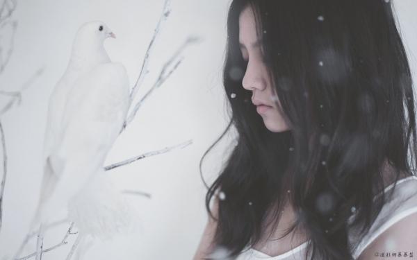 精品《白苏夏晚意》小说免费试读 重生后，我从小透明成为顶流明星小说全集无删减全文