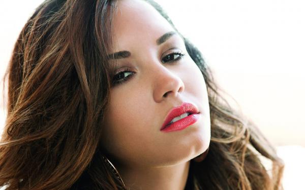 《陈硕沈晚星》我死后,前夫抱着白裙哭疯了大结局在线阅读