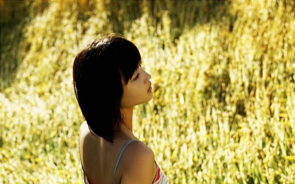 误入女频世界的正常人小说全集免费免费试读（东方无方无情慕容云）